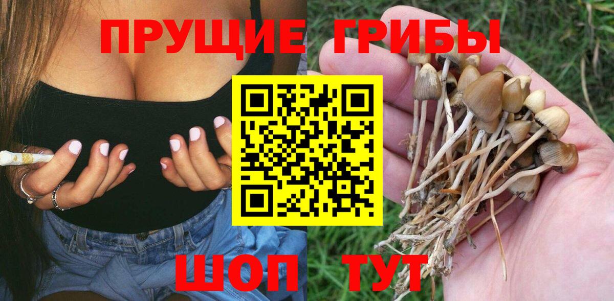 Псилоцибиновые грибы ЛСД  Вход с VPN  Абакан 